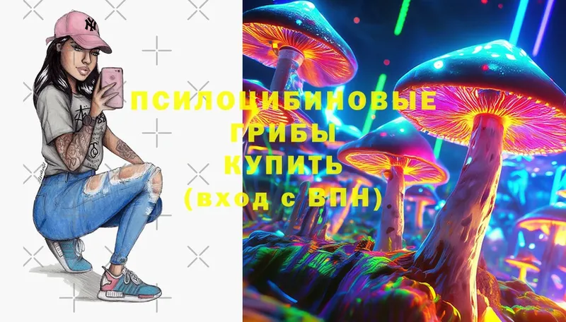 Галлюциногенные грибы Psilocybe  Приморско-Ахтарск 